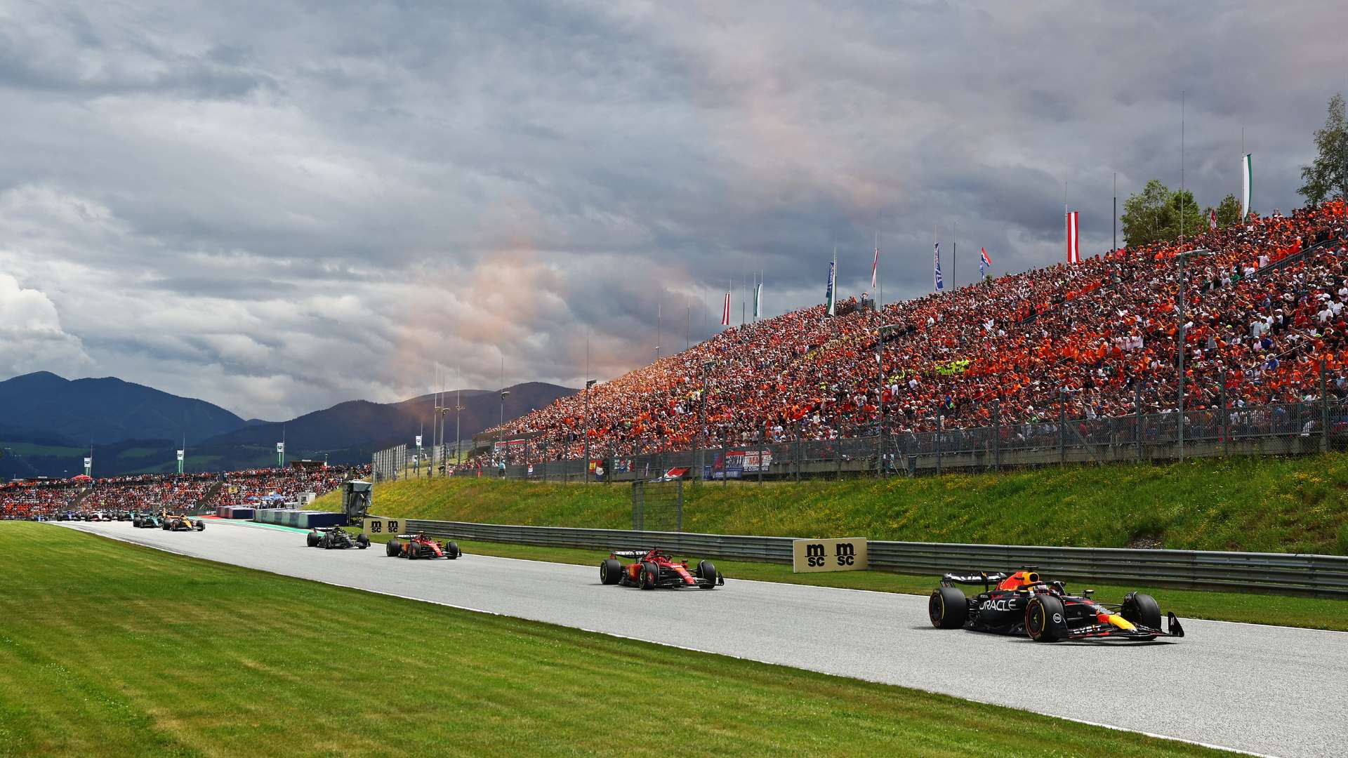 迷的期待 迷的期待